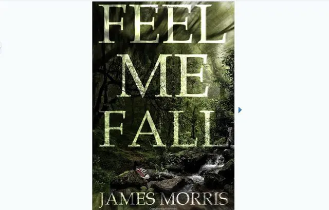 Book Review: “Feel Me Fall” by James Morris