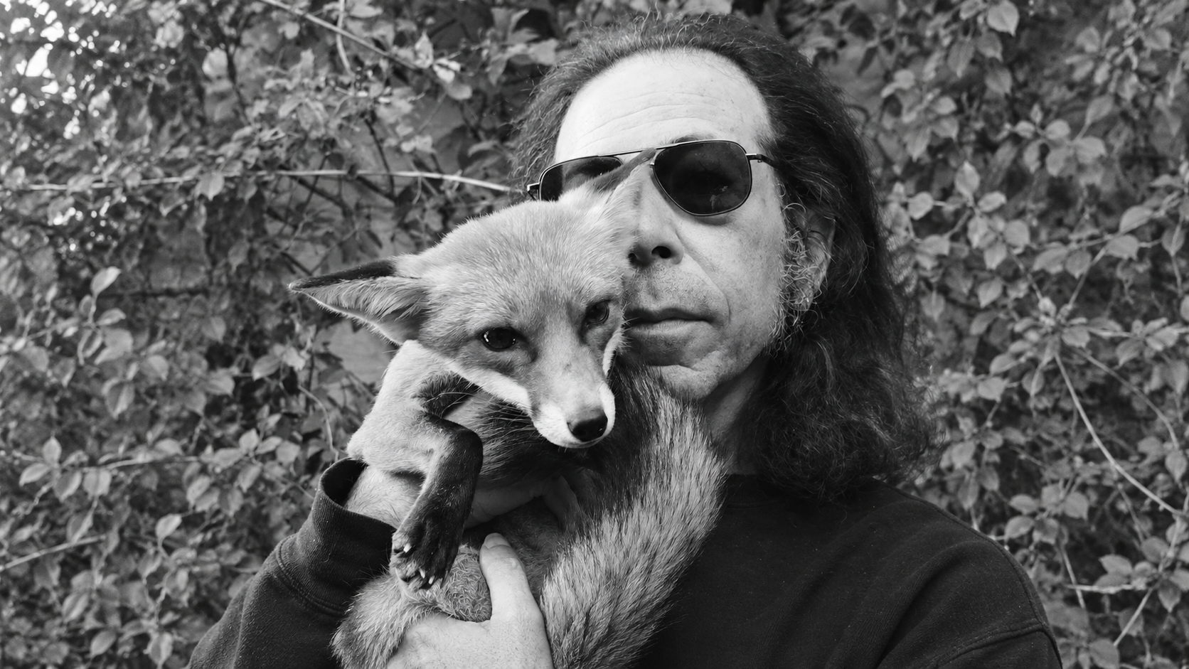 Photographer David Arnoff Talks About His Oct. 23rd, 2026 Exhibition at the Punk Rock Museum